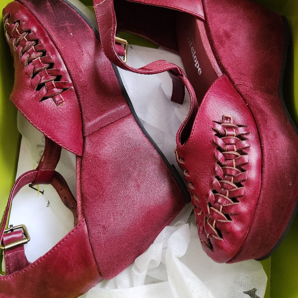 Antelope shoes
